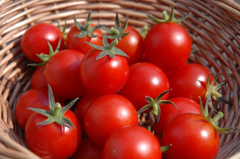Trữ trong tủ lạnh, cà chua sẽ mất đi hương vị tự nhiên